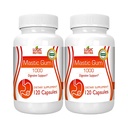 Mastične gumijaste kapsule - naravni gastrointestinalni dodatek, 1000mg na odmerek - 120 kapsul (2 steklenici)