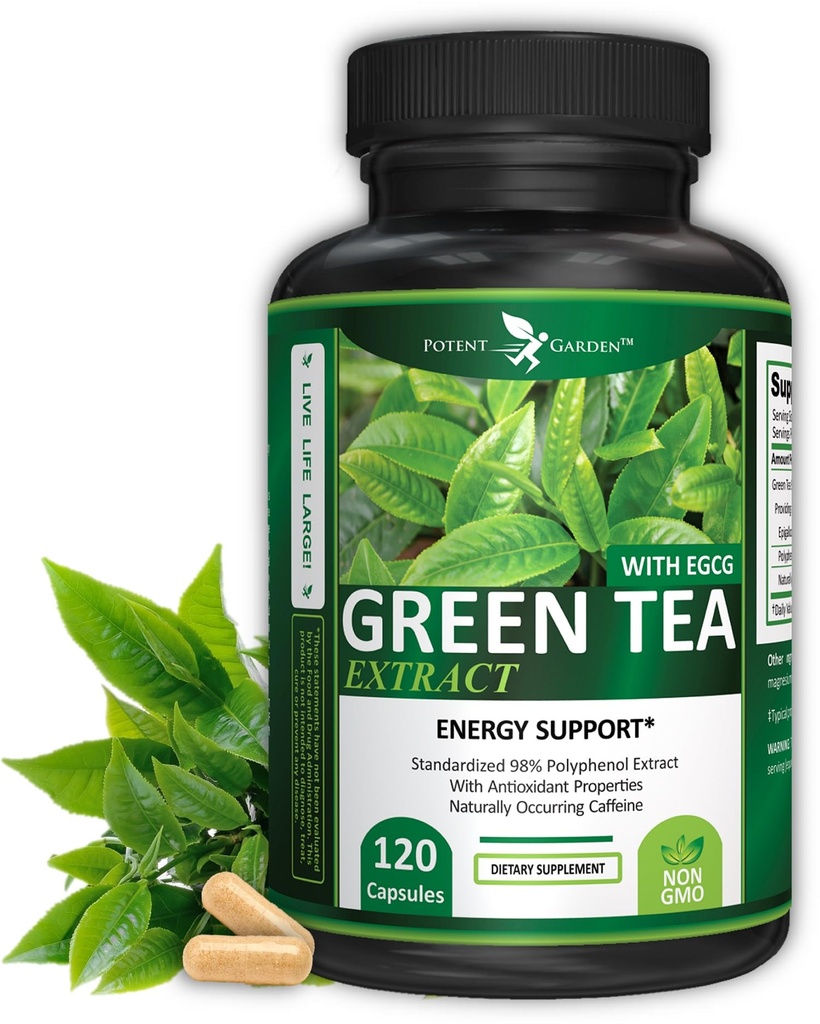 Potentni vrtni zeleni čaj Extract z EGCG Natural Energy, Duševno fokus, Imunska podpora, Antioksidant in zdravo srce Formula, Non-GMO 120 Green Tea Extract kapsule