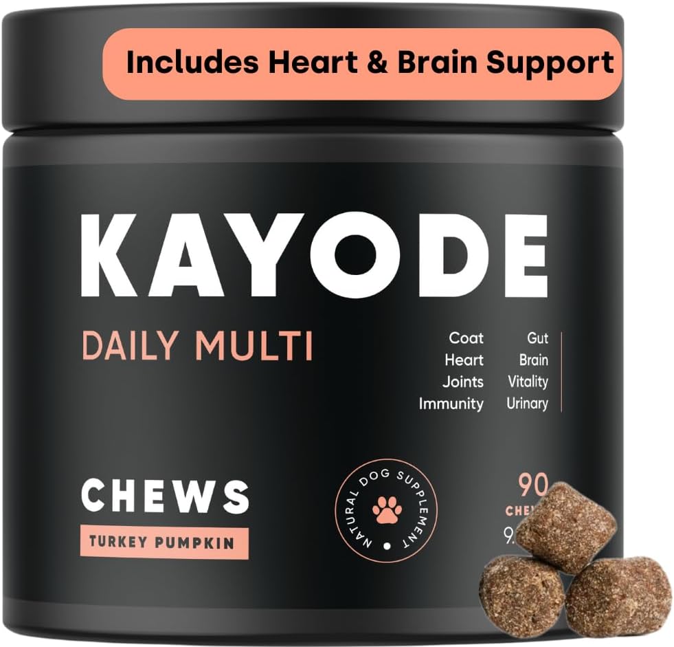 Kayode Daily Multi - Dog Multivitamin & Superfood Chew. Napolnite hranilnih Gaps. Pomaga sklepov, Digestion, Srce, Možgani, urinarne in več. Dodajte hranila Pasja hrana Misses. Super za Kužka.
