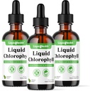 LIQUIDHEALTH Tekoči klorofil kapljice - notranji deodorant, antioksidanti, detoks jeter, Imunska podpora, lajšanje slabega dihanja, zmanjšanje apetita, kolagen za zdravje las in kože - Vegan, Non-GMO (3 pakiranje)