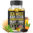 Sea Moss, Black Seed Oil, Ashwagandha, Ginger, Shilajit Gummies z Elderberry, Klorofil, Turmeric Bladderwrack Sea Moss Gummies Napredno moč Formula - Vse v 1 Bundle - ZDA Made (60 Gummies)