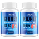 Podpora ledvic – Ledvična čistila Detox 600 mg Niacinamid & Chitosan Oligosaharidi – Fosfor- Conscious Formula – Vegetarijanske kapsule za odrasle – 2 steklenici