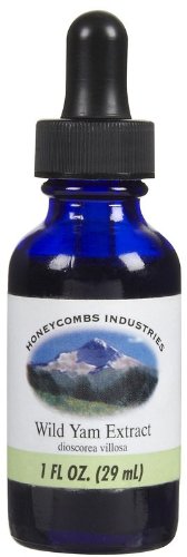 Wild Yam Root Extract Liquid – Naravna ženska balance dodatek – hladno stisnjena menopavzalna podpora ali PMS podpora dodatek za ženske, 1 Fl Oz