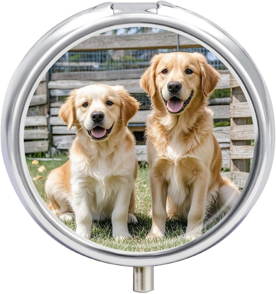 Round tablet Case 3 Compartment Golden Prinašalec Dogs Puppies Hišni ljubljenčki Tablete Box Mini Medicine Tablete Organizator Prenosne potovalne tabletebox za Žepka Purse Metal tabletke Kontejner za vitamine Ribje olje Dodatki