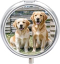Round tablet Case 3 Compartment Golden Prinašalec Dogs Puppies Hišni ljubljenčki Tablete Box Mini Medicine Tablete Organizator Prenosne potovalne tabletebox za Žepka Purse Metal tabletke Kontejner za vitamine Ribje olje Dodatki