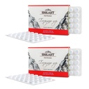 Altai Shilajit 120 tablet Mountain Balsam Label - Original Altai Sibirska 100% čista fulvična kislina in sledljivi minerali