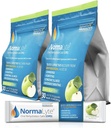NormaLyte oralna rehidracija Soli-2 vrečke - 60 palčke (Yields 500ml na paket)-Apple