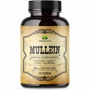 HERBALICIOUS Mullein Leaf Extract za pljuča – Lung Detox za kadilce in dihalno podporo – Zeliščni dodatek za čiščenje pljuč, detox in prebavni Wellness – Vegan, Non-GMO, 100 kapsul