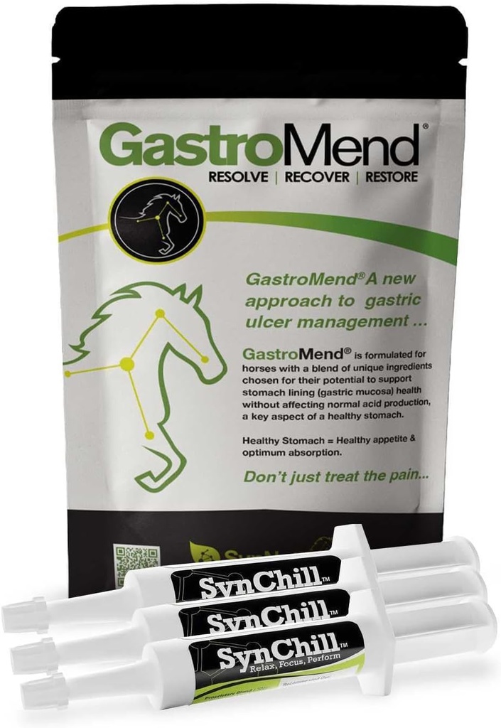 Synchill 3 Pack + GastroMend paket za konje - celovito zdravje želodca in vedenje podpora, Aids in Gastric Ulcer Relief, spodbuja mirnost in osredotočenost, vse naravne, stroškovno učinkovito