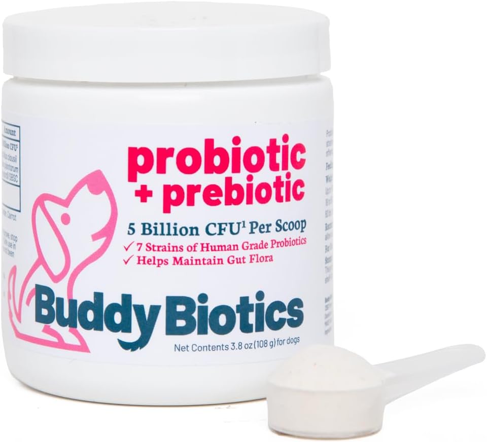 Buddy Biotics Probiotic + Prebiotic za pse- Gut Flora zdravje, Prebavno in imuno zdravje, Diareja in Bowel podpora – 5 milijard CFU na Scoop
