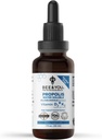 Bee in You Liquid Propolis Extract, Vodna topen, Vitamini D3+K2, Visoka moč, Imunska podpora dodatek, Relief, Antioksidanti, Keto, Paleo, Gluten-free, 1 Fl Oz (1 pakiranje)