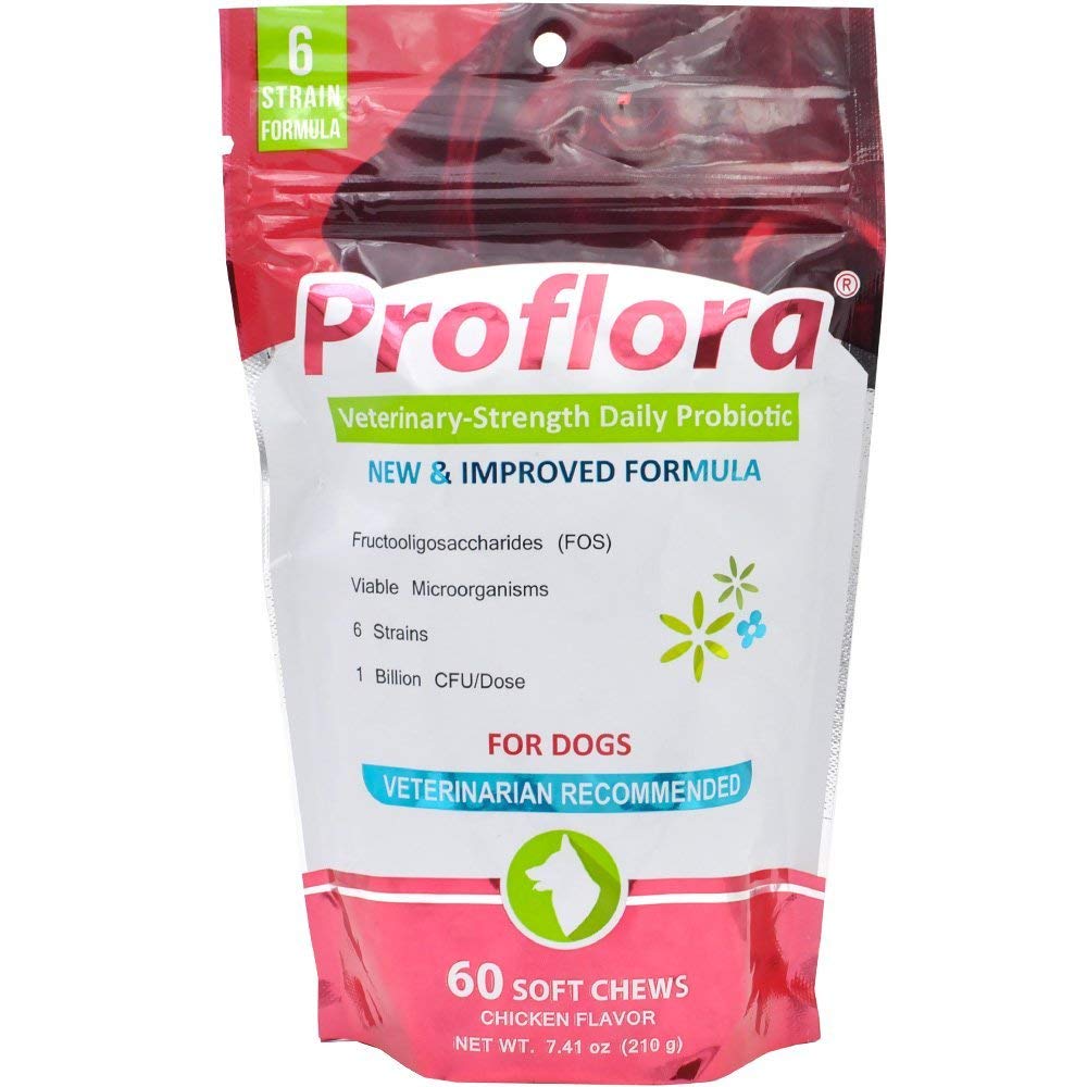 Probiotiki za zdravljenje in imunosupresivno podporo pri psih. Enostavno za uporabo Digestive Multi-Strain probiotics. Lažje prehranjevanje prehodi, bolj zdravo kožo in plašč in pomaga pri zdravljenju driske. 60 mehki žveči