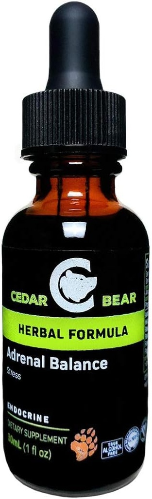 Kedar medved Nadledvična tehtnica - Liquid Herbal Supplement z adaptogeni, ki se bori utrujenost, obvladovanje stresa in povečanje energije 1 fl oz / 30 ml