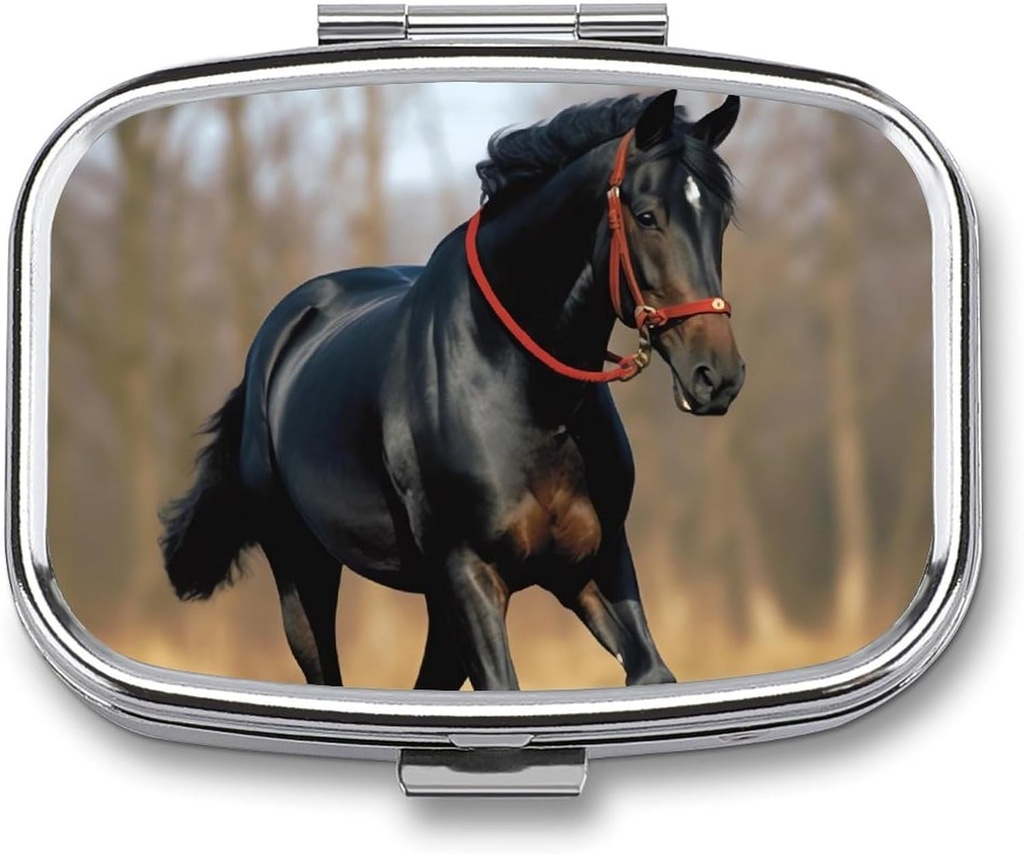Box tablete Prenosna tableta Zabojnik za Žepni konj na Lawn Travel Organizator majhne tablete 2 Kompartment Metal Pill Container Imetnik za medicino Vitamini Ribje olje Dodatki