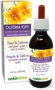 Naturalma Escholzia (Eschscholzia californica) zelišče Tinktura brez alkohola - 4 fl oz Tekoči ekstrakt v kapljicah - Zeliščni dodatek - Vegan