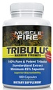 Herbal Nutrition Tribulus Terrestris, bolgarski, 1500mg 45% Saponini, Lecithin za boljšo posodobitev, 180 kapsul, ena steklenica...