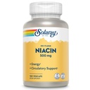 SOLARAY No Flush Niacin 500mg, Flush-free Vitamin B3 Niacin, Energy and Circulatory System Support, Vegan, Lab preverjen, 60-dnevni denar nazaj garancije, 100 Serving, 100 VegCaps