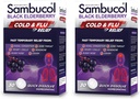 Sambucol Cold and Flu Relief Tablets - Homeopatska hladna medicina, Nasal & Sinus Congestion Relief, Uporaba za Runny Nose, Kašljanje, Cold Remedy za odrasle - Črna Starejša jagoda, 30 Count, 2-Pack