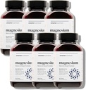 Smarter Nutrition Magnezij Complex - kelirani magnezijev glicinat + citrat, malat za spanje, sprostitev, mišice in živci + klinično dokazano L-teanin, ne-GMO-360 tableta[180-dnevna oskrba]