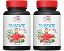 Saw Palmetto dodatek - Prostata podpora PILS - naravne sestavine, Saw Palmetto, Stinging Nettle Leaf, Maitake goba, Reishi, Shiitake, Prostata podpora dodatek za moške, 2 steklenice 120 kap