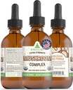 RawGuru Kompleks organskih gob Tinktura - Ekstrakt organskih gob z minerali Trace - Nano-procesirana Kognitivna in Imunska podpora dodatek - 60 Serving of Vegan kapljice na 60 ml, Pakiranje 1