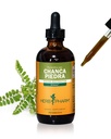Herb Pharm Chanca Piedra tekoči ekstrakt za podporo urinarnega sistema - 4 Ounce