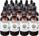 Cimet brez alkohola tekoči ekstrakt, cimet (Cinnamomum Verum) posušen Bark Glycerite Havaji Pharm naravni zeliščni dodatek 15x4 oz