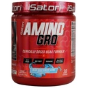 iSatori Amino-GRO BCAA prašek, razvejane verige aminokislin z glutaminom, elektrolitski prašek in bio-GRO bioaktivne peptide za rast mišic in okrevanje po treningu, Blue Razz Snow Cone (30 servivov)
