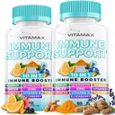 10-v-1 Imunska podpora z bezgavk, D3, Selen, Quercetin, Cink, Vitamin C, Ginger, Kurkumin, B6, Echinacea – Imunska obramba – Izdelano v ZDA (60 Count (Pack of 2))
