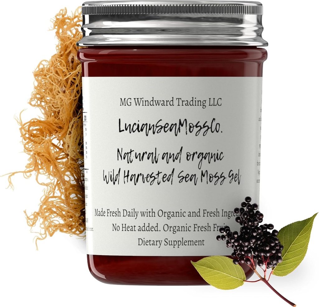 Dr. Sebi Inspired Alkaline Organic Fresh Elderberry Ginger Sea Moss Gel - Naravni Esencialni vitamini, Minerali Plus Antioksidanti Wild Obdelan iz svete Lucije (8 oz.)