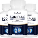 Superoksid dismutaza dodatek 500mg - SOD Plus z liposomskim glutationom, AKG, izvleček zelenega čaja, L-arginin, lizin, resveratrol in vitamin E za imuno podporo, antioksidant 180 Kapsule