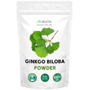 Ginkgo Biloba Powder 8 oz - Čisti naravni dodatek, Brain Support, Duševna budnost, Filler brezplačno