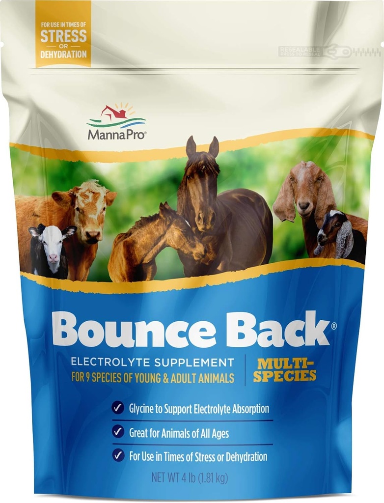 Manna Pro Bounce nazaj, 4 lb