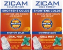 Zicam Cold Remedy Cinkove arktične mete oralna meglica, 1 Ounce (paket z 2)
