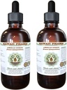 Ameriški ginseng brez alkohola tekoči ekstrakt, ginseng (Panax Quinquefolius) posušeni koren glicerit Havaji Pharm naravni zeliščni dodatek 2x4 oz