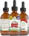 RawGuru Vitamin B12 Tekoči dodatek - Organski Vegan Tekoči B12 s Trace Minerals - Nano-procesirani antioksidant & Imunska podpora dodatek Tinktura - 60 Servis veganskih kapljic na 60 ml, Pakiranje po 1