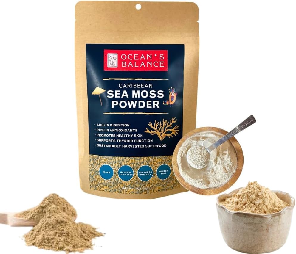 Ocean je uravnotežen čisti okus Maine Sea Moss Powder (4oz) - Surov, Wildcrafted, Premium kakovost - Podpira Detox, Prebavno zdravje, Imunski sistem, kožo in lase po izbiri narave