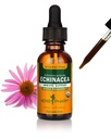 Herb Pharm Organic Echinacea Root Extract, Alkohol-free: Imunski sistem podpora za vse letne čase, hitro delujoče rastline Echinacea dodatek, Non-GMO, Vegan & Gluten-free, 1 Oz