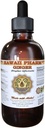 Havaji Pharm Ginger Liquid Extract, Organic Ginger (Zingiber officinale) Tinktura dodatek 2 oz