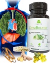 OMNIBREATHE - hitro izboljšanje dihalnih težav z NAC 600MG znanstveno oblikovan w. Quercetin/Mullein/Coq 10/Ginger/Stinging Nettle/Bromelain,3 krat w. obrok (10-dnevno oskrbo za povečanje)