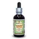 Herbal Terra LLC Sting Nettle (Urtica Dioica) glicerit, organsko posušeni listi brez alkohola tekoči ekstrakt 2 oz