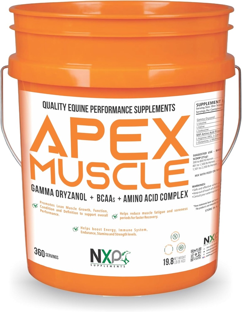 APEX mišice, telo in moč Graditelj za konje - energija, vzdržljivost, Stamina, podpora za okrevanje - gama oryzanol BCAA aminokisline lizine karnitin L-arginin AKG 19,8 lb (360 strežnic)