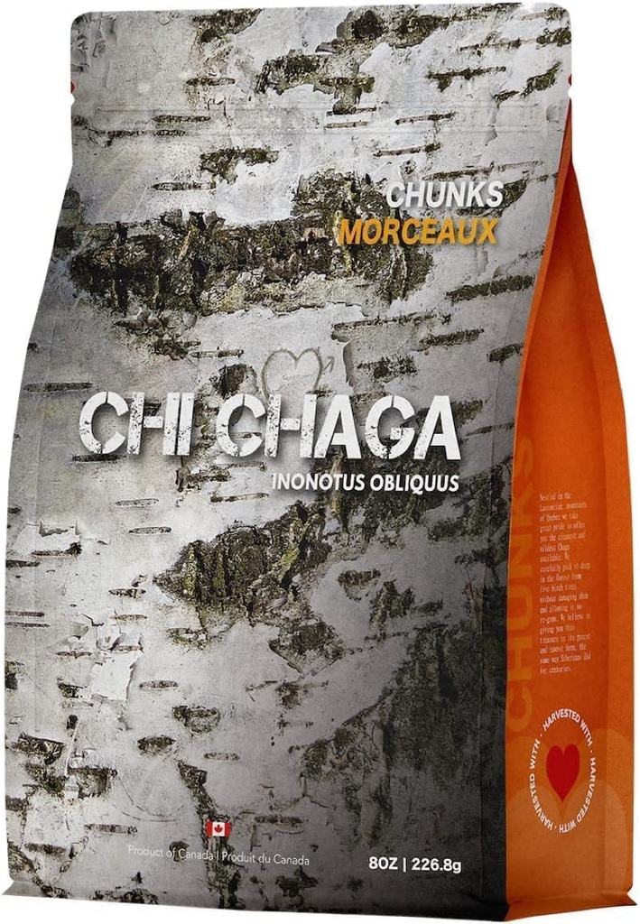 Premium ekološko Chaga gobe Chunks - 8 oz verodostojno 100% Wild žetev kanadskega Chaga čaj - Superživila