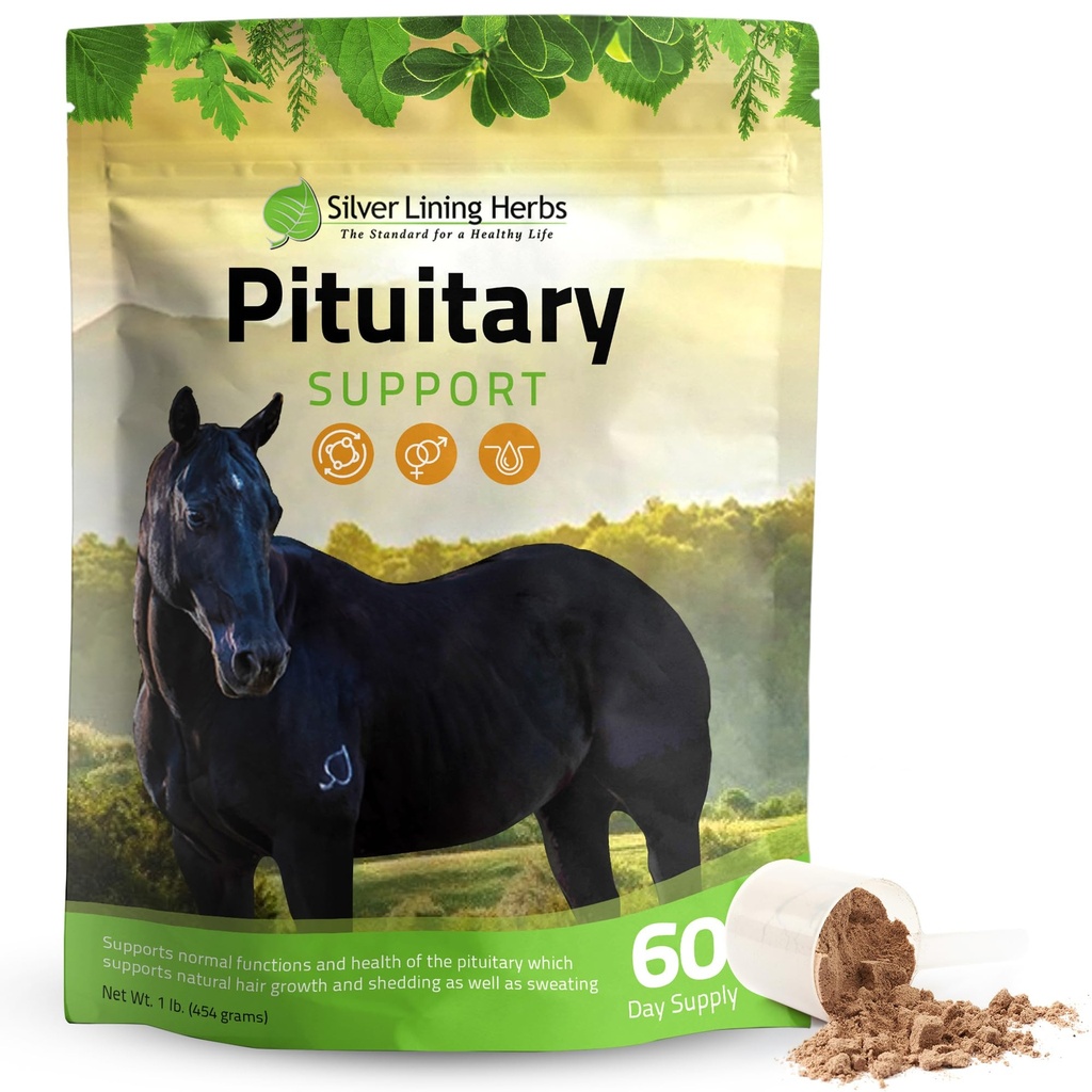 Silver Lining Herbs Pituitar Gland Supplements za konje - konji dodatki za konje Metabolična podpora, Cushing’s, Znojenje & Shedding vprašanja - Mood & Energy Horse Supplement - 1 lb 60-dnevno oskrbo