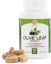 Izvleček olivnega lista - 500mg - dodatek Standardiziran na 25% Oleuropein - 20% hidroksitirosol - 40% polifenoli - ne-GMO + Gluten Free + Dairy Free + Soy Free + Vegan (30 kapsul)