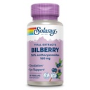 SOLARAY Izvleček borovnice 160 mg, Podpora za zdravje in kroženje oči, 36% Anthocianosides Plus Blueberry, Vegan, 30 VegCaps