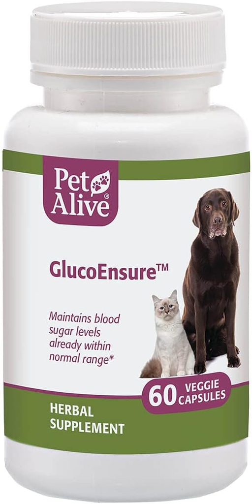 PetAlive GlucoSure - vse naravne zeliščni dodatek za vzdrževanje sladkorja v krvi (glukoza) ravni že v normalnem območju pri hišnih ljubljenčkih