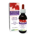 Naturalma Red Grapevine (Vitis vinifera) Leaf Alkohol-free Tinkture - 4 fl oz Tekoči ekstrakt v kapljicah - Zeliščni dodatek - Vegan
