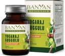 Banyan Botanicals Jogaraj Guggulu – Organska skupna podpora dodatek ‐-Ayurvedska mešanica za podporo Skeletni in nevromuskularni sistemi* – 90 Tablet – Ne-GMO, Trajno vir, Vegan