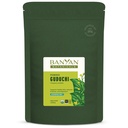 Banyan Botanicals Organic Guduchi Powder – Organic Immune Health Supplement – za naravno razstrupljanje, uravnotežena prebavo in zdravo kožo* – 1 lb – Non-GMO Trajno izvira Vegan FFL